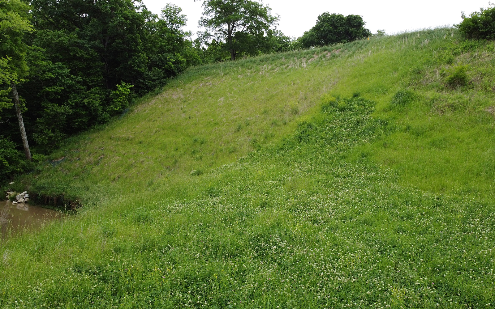 Vegetated Armormax Slope Stabilization Project 