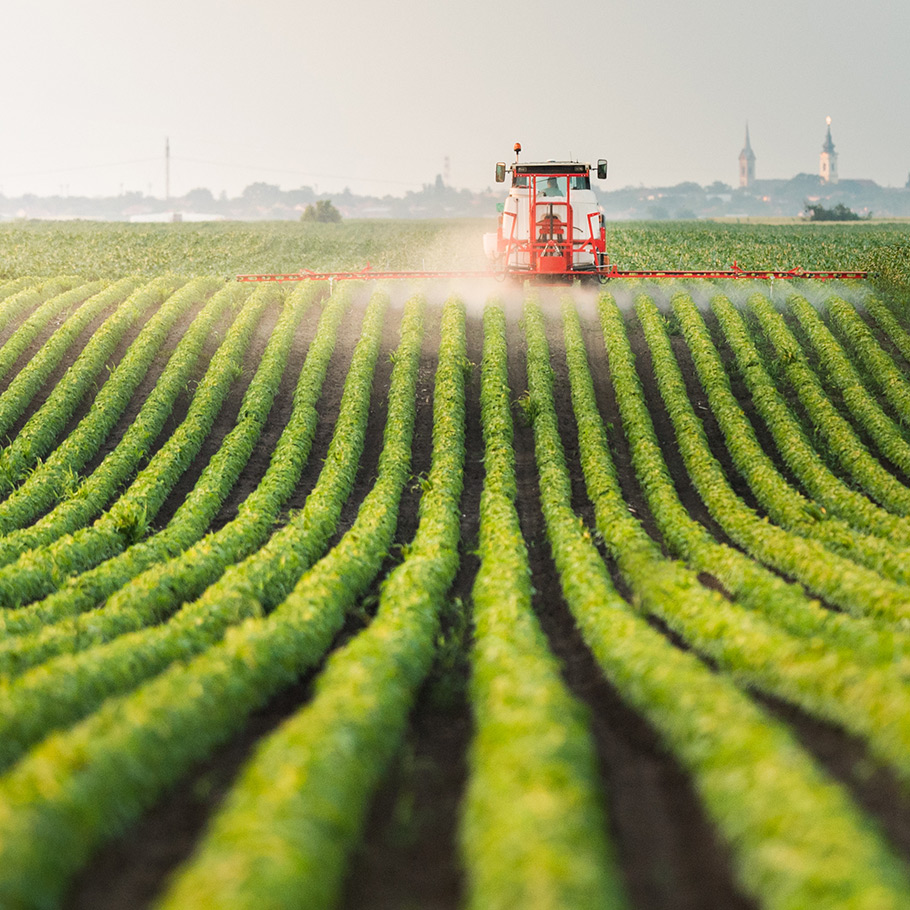 a tractor spraying a field of crops