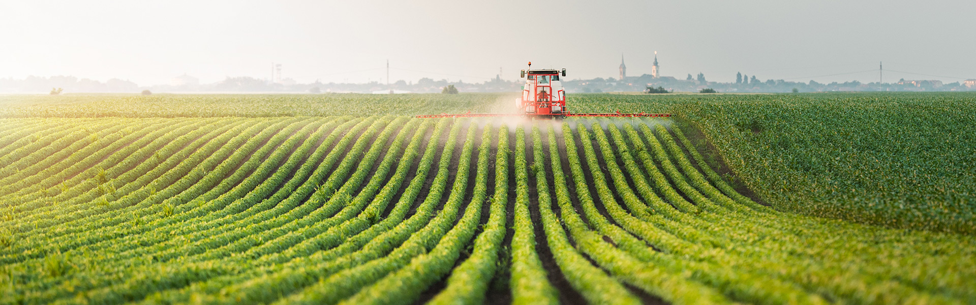 a tractor spraying a field of crops